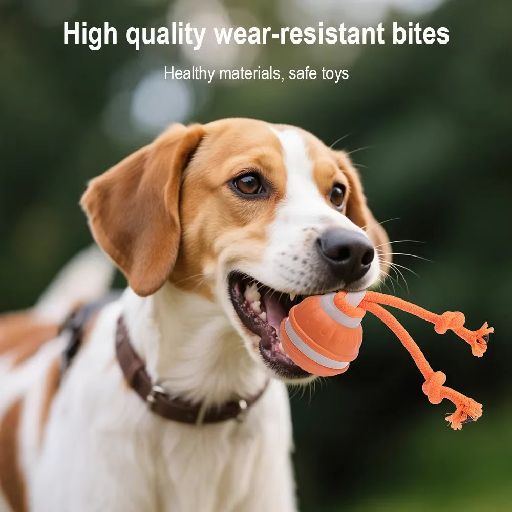 Interactive Automatic Rolling Ball Toy for Cats and Dogs with Faux Tail - Rechargeable Smart Electric Training Device Imitating Mouse