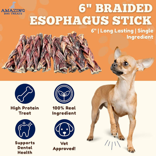 6-Inch Braided Beef Esophagus Gullet Sticks for Dogs - Pack of 4 Dog Jerky Treats