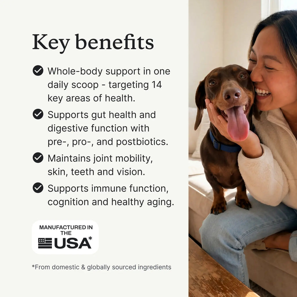 DF-14 Daily Foundation: 14-In-1 Multifunctional Dog Supplement Powder - Longevity Support Made Simple with One Easy Daily Scoop
