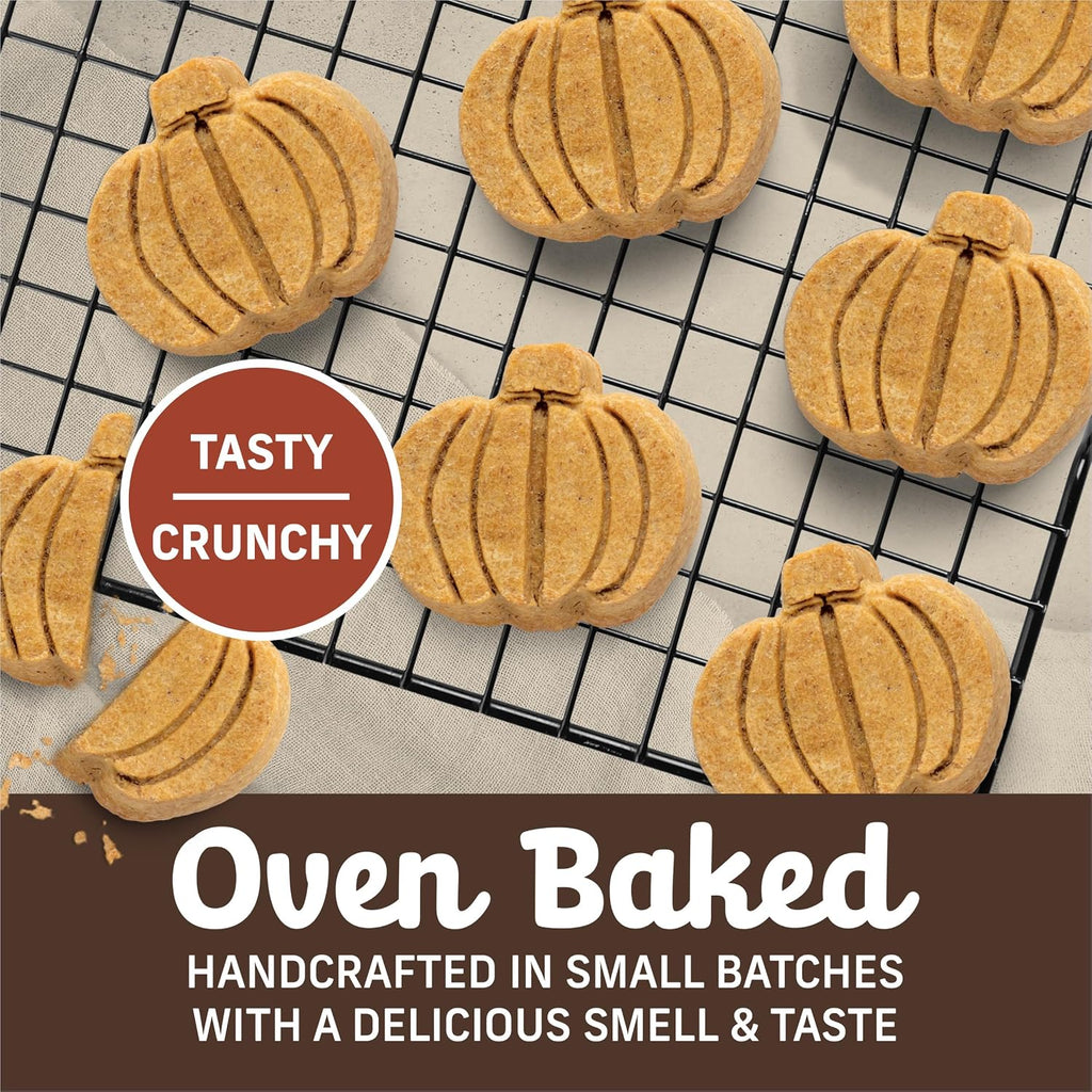 Oven-Baked Natural Dog Treats - Crunchy Pumpkin Patch Biscuits Made with Real Pumpkin, Crafted in Small Batches with Only Seven Ingredients