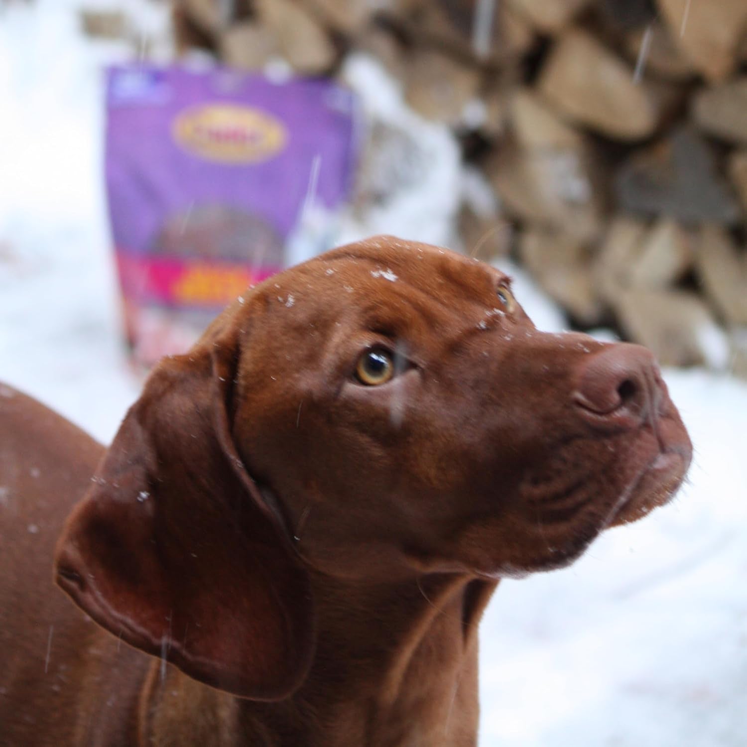 Gourmet Duck Breast Dog Jerky Treats, 28 Oz | Premium Real Duck, High-Protein Natural Dog Treats for Training, Suitable for Small and Large Breeds
