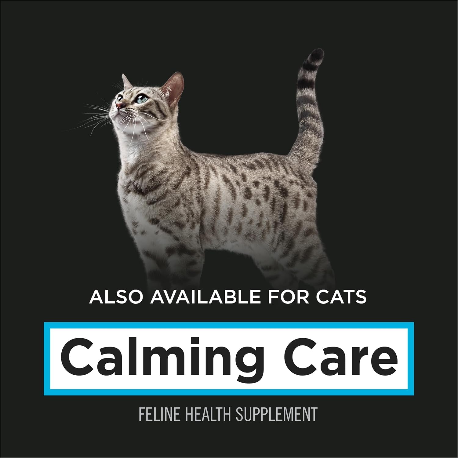 Pro Plan Veterinary Supplements Calming Care for Dogs - Formulated to Alleviate Everyday Stress and Anxious Behaviors