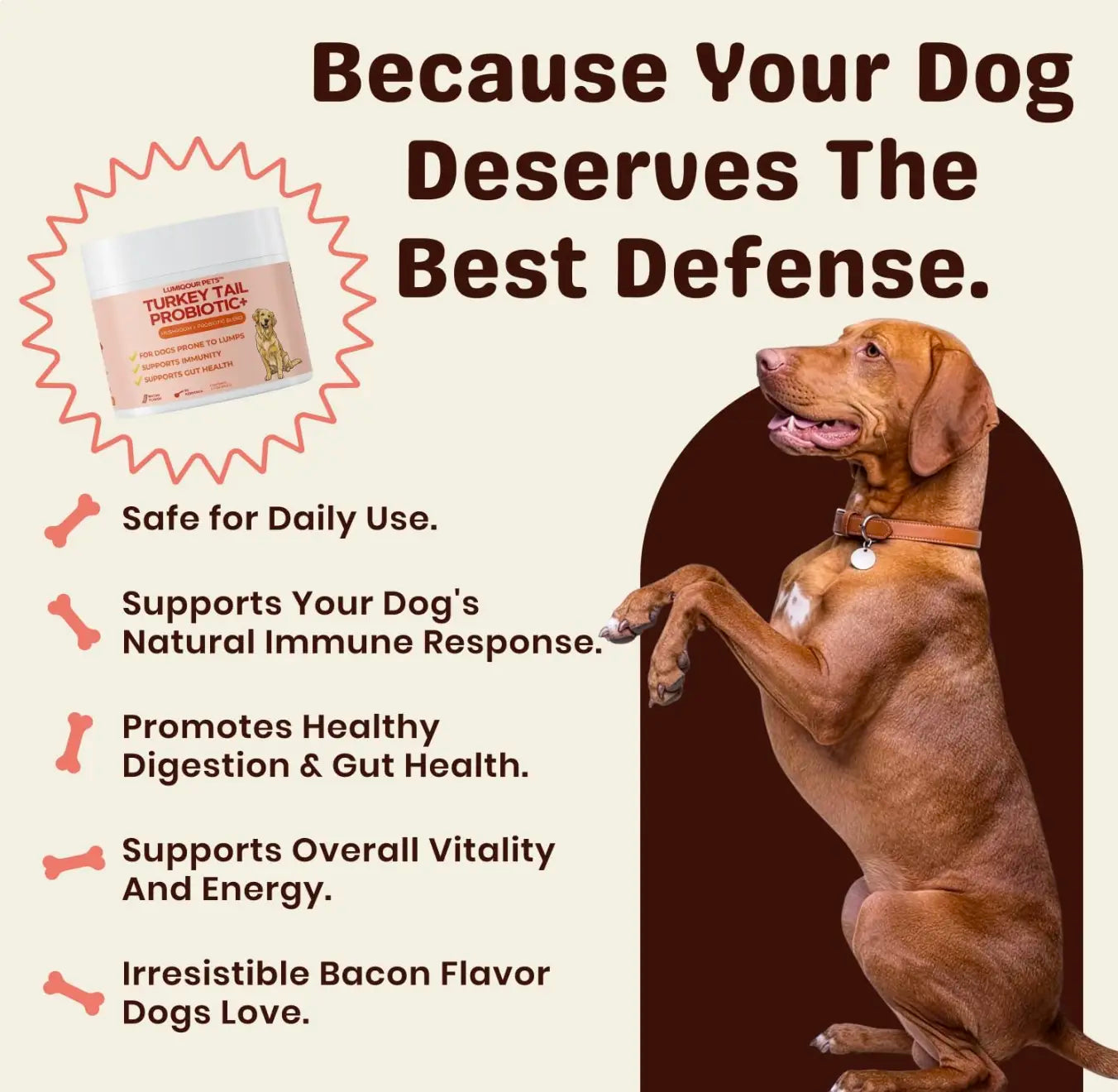 Lumiqour - Turkey Tail Probiotic + Mushroom Blend for Dogs Prone to Lumps | Immunity & Gut Health for Dogs All Natural Ingredients No Chemicals