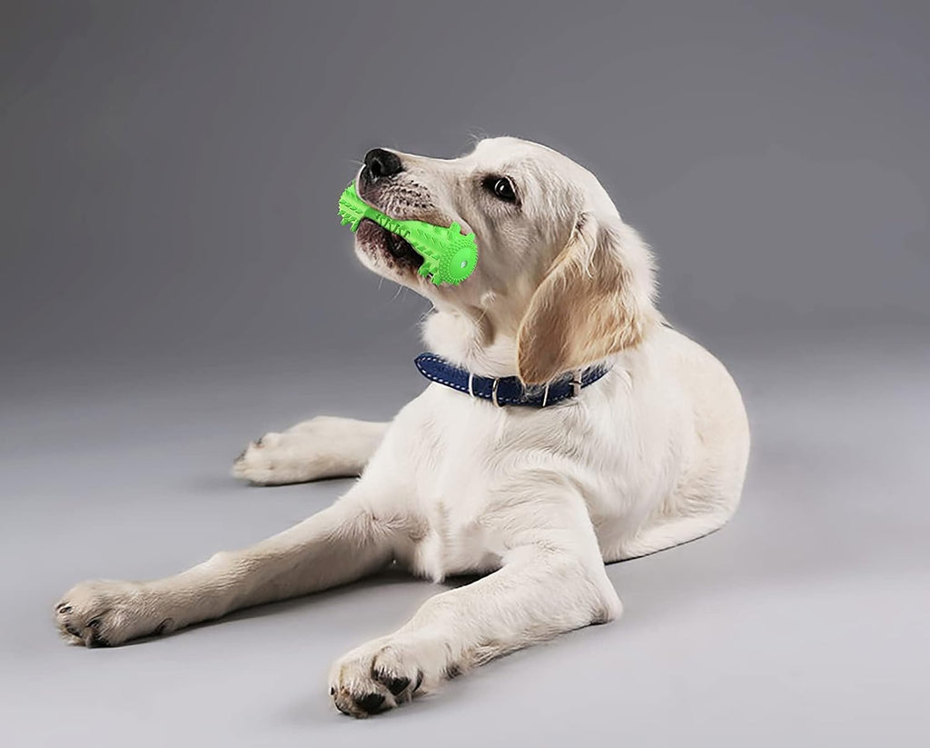 Indestructible Puppy Chew Toy for Teething - Durable Squeaky Interactive Toothbrush Toy for Aggressive Chewers of All Breeds
