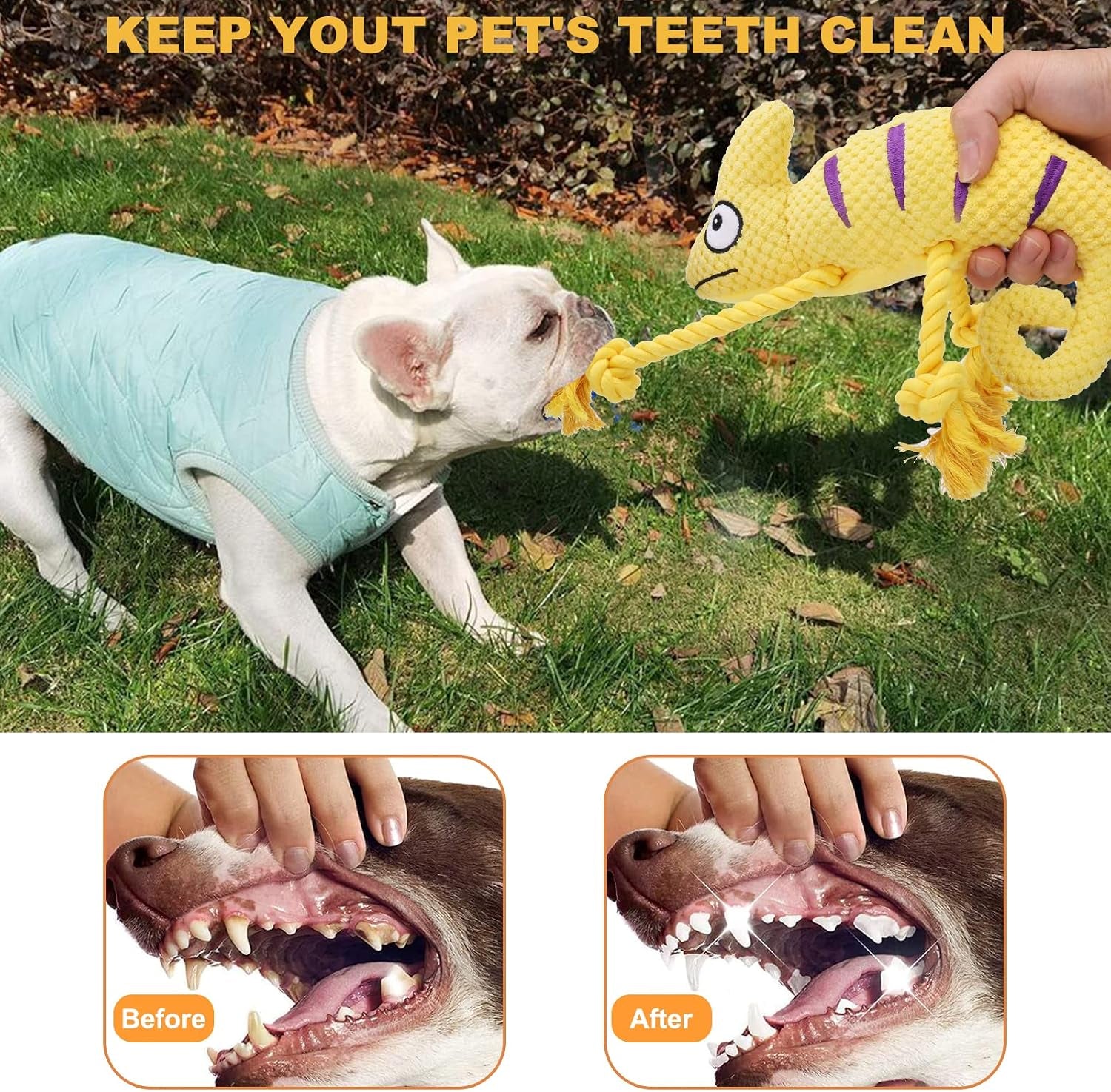 Plush Squeaky Dog Toys for Medium and Small Breeds - 2-in-1 Lizard and Pineapple Chew Toys in Yellow