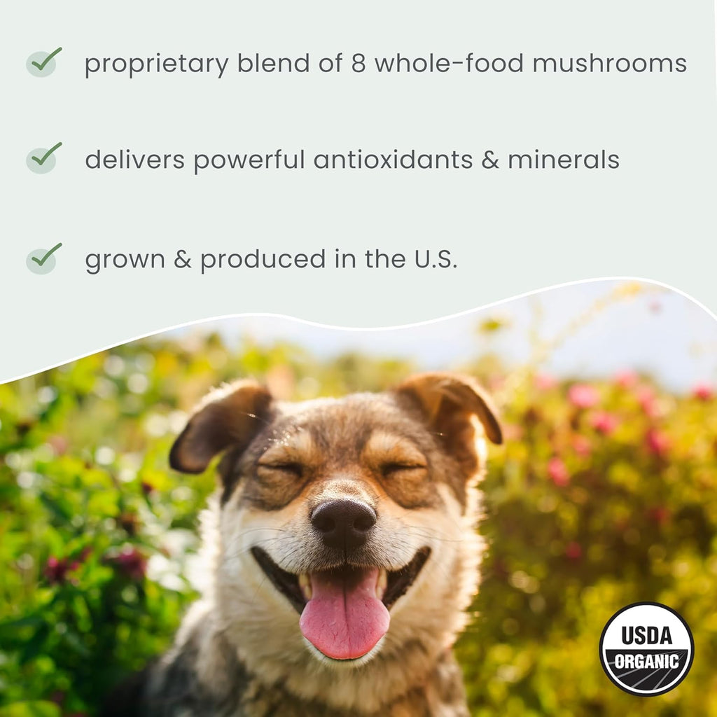Bark & Whiskers Organic Fermented Mushroom Blend - Pet Supplement for Cats and Dogs - Promotes Digestive and Immune Health - Additive, Filler, and Gluten-Free - 2.11 Oz. (60 Scoops)