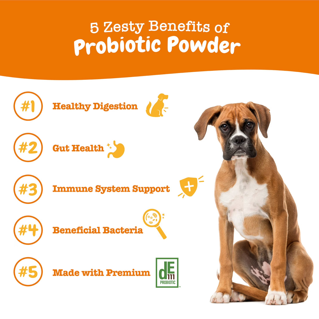 Probiotic Powder Supplement for Dogs, Pumpkin Flavor, 150g