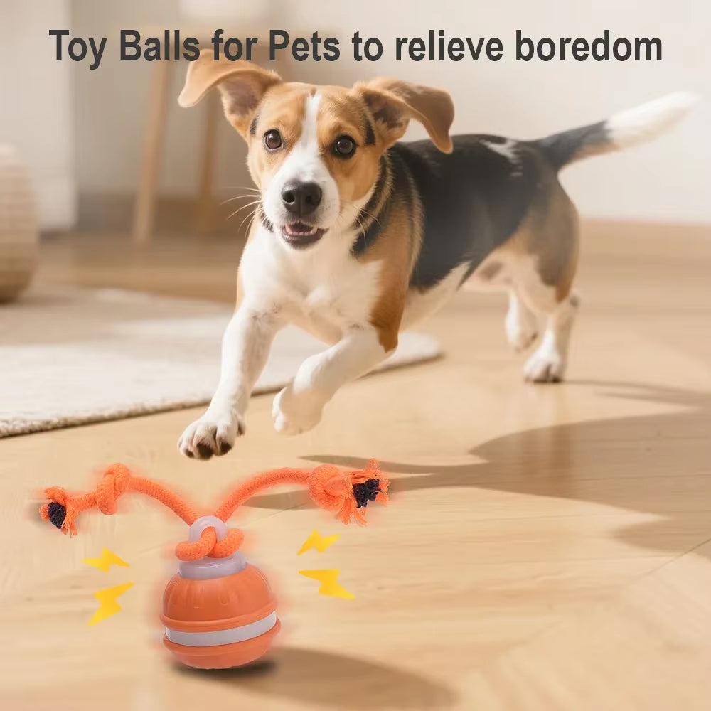 Interactive Automatic Rolling Ball Toy for Cats and Dogs with Faux Tail - Rechargeable Smart Electric Training Device Imitating Mouse