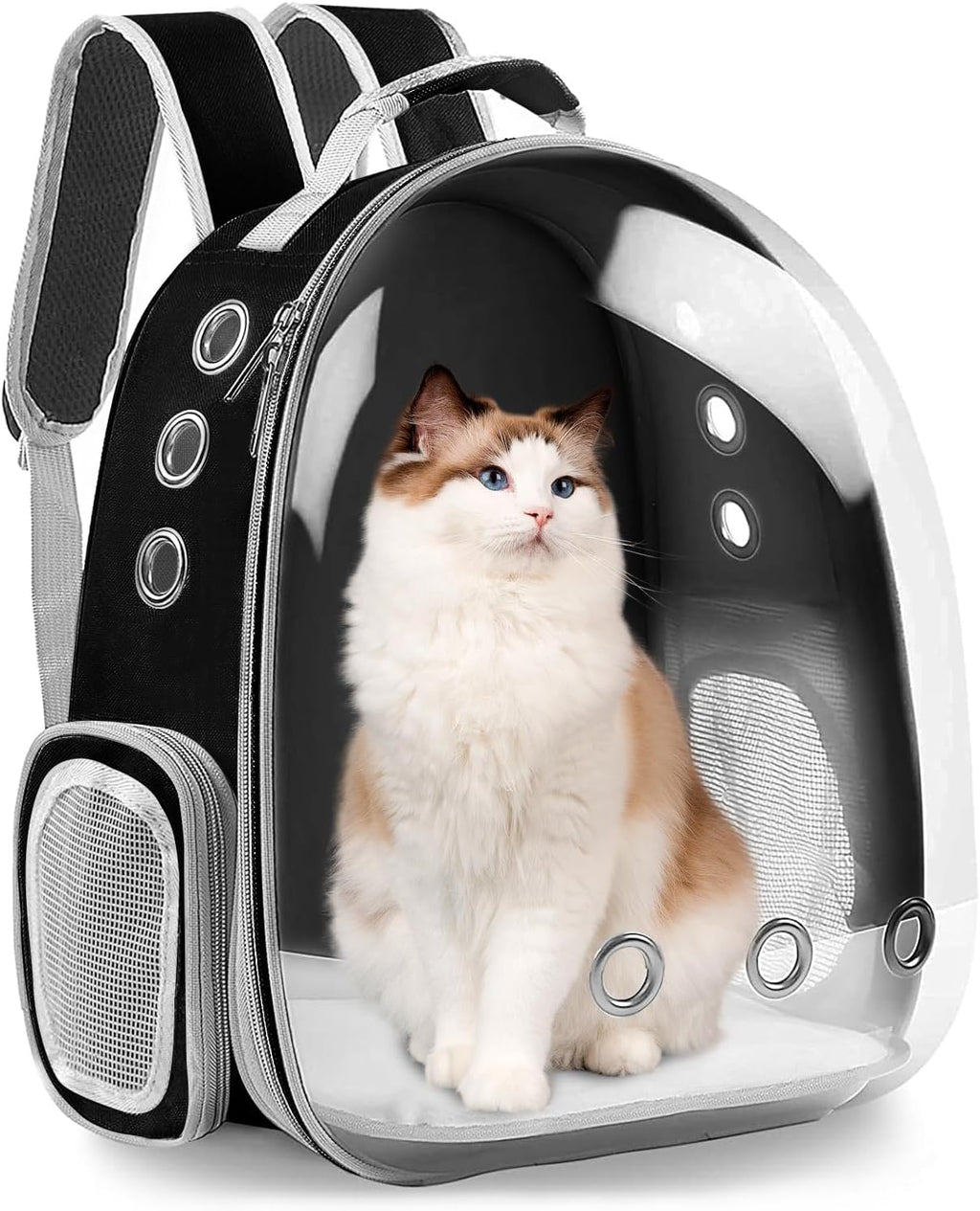 Cat and Small Dog Backpack Carrier - Transparent Space Capsule Design, Airline Approved for Travel and Outdoor Use, Black