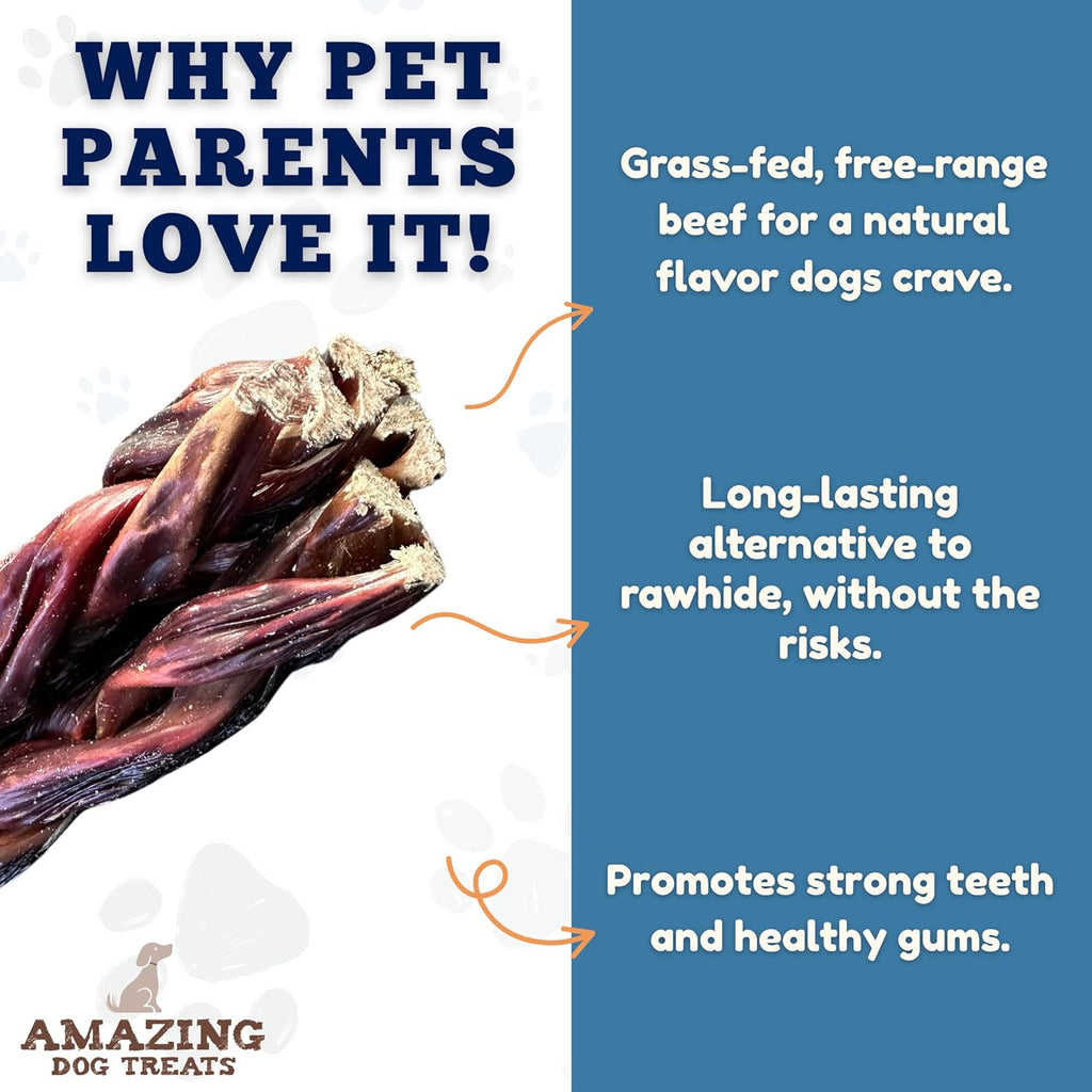6-Inch Braided Beef Esophagus Gullet Sticks for Dogs - Pack of 4 Dog Jerky Treats
