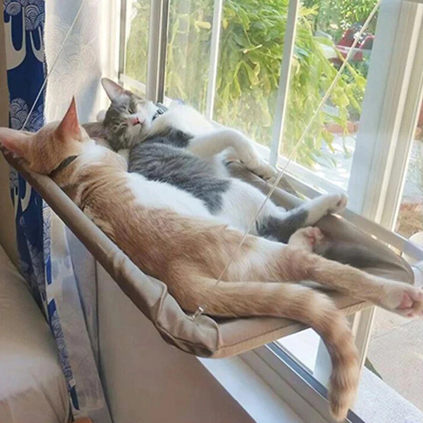 Elevated Cat Hammock - Window Seat for Cats and Kittens, Supports Up to 20kg, Ideal Climbing Frame and Cozy Nest