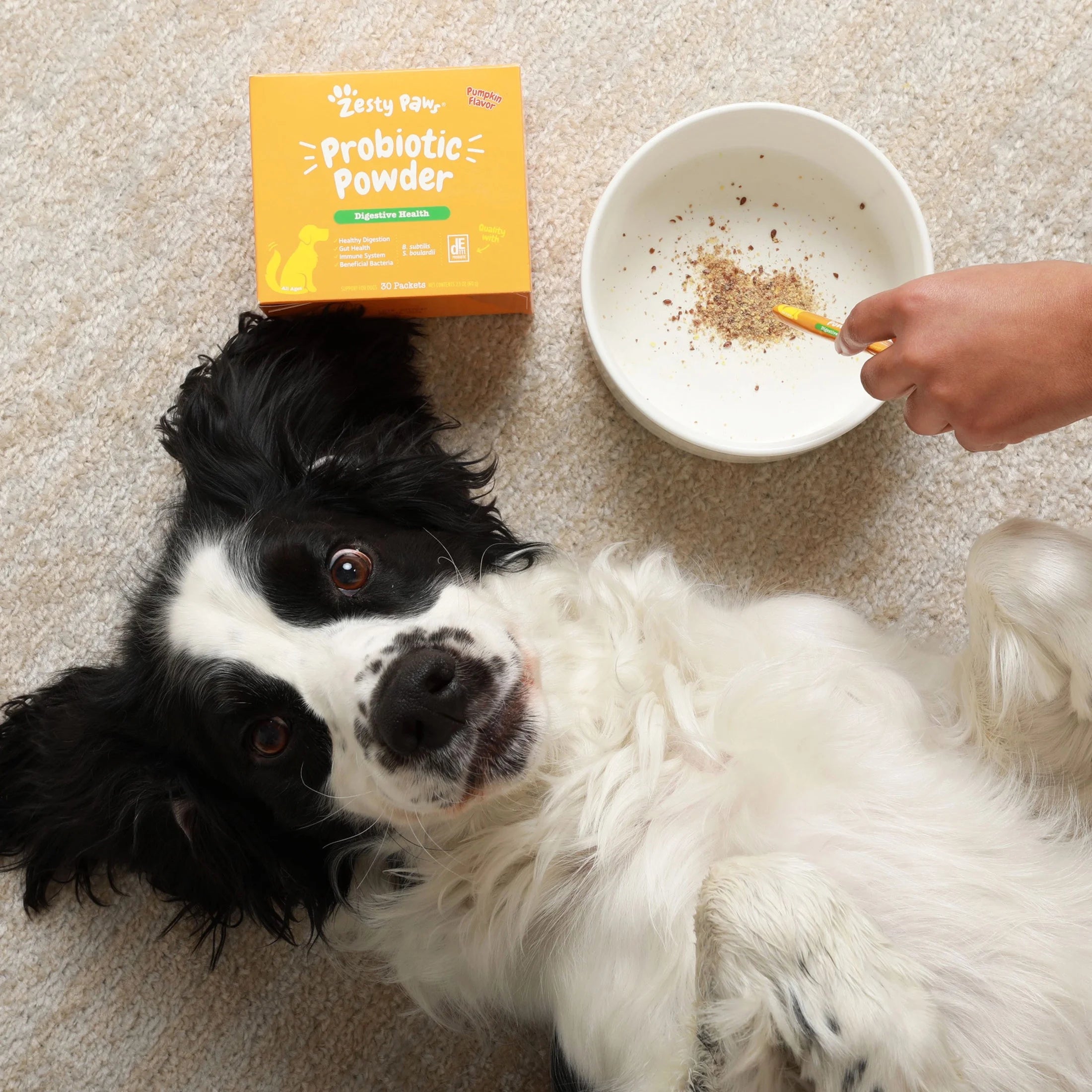 Probiotic Powder Supplement for Dogs, Pumpkin Flavor, 150g