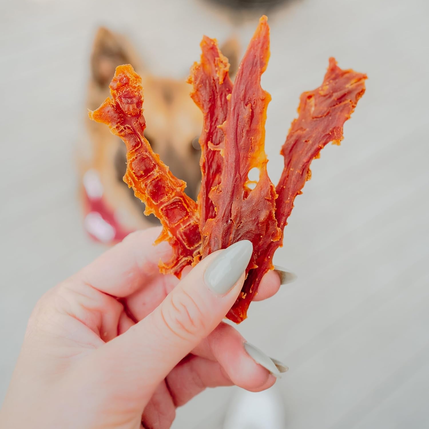 Gourmet Duck Breast Dog Jerky Treats, 28 Oz | Premium Real Duck, High-Protein Natural Dog Treats for Training, Suitable for Small and Large Breeds