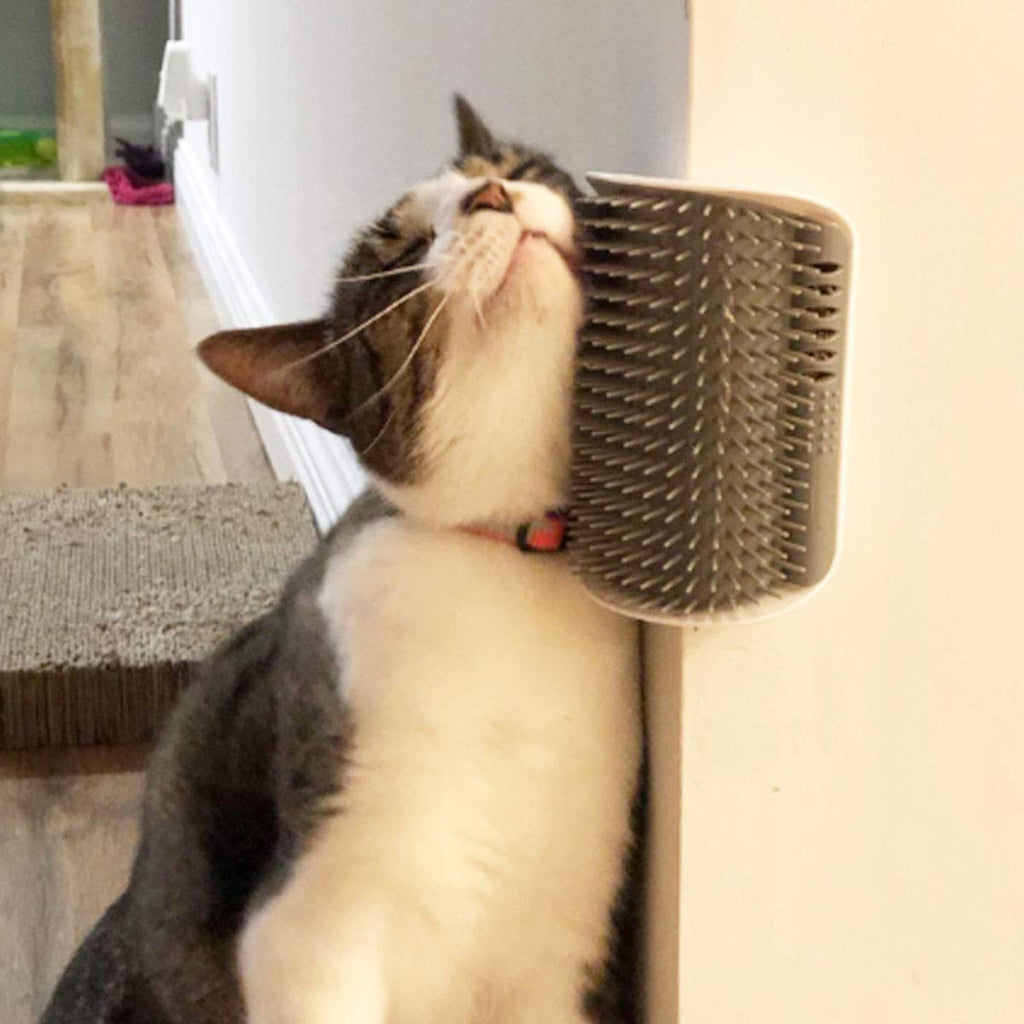 Softer Self-Grooming Tool Set with Catnip Wall Corner Massage Comb and Scratcher for Long & Short Fur Cats and Dogs (Gray) - 2 Pack