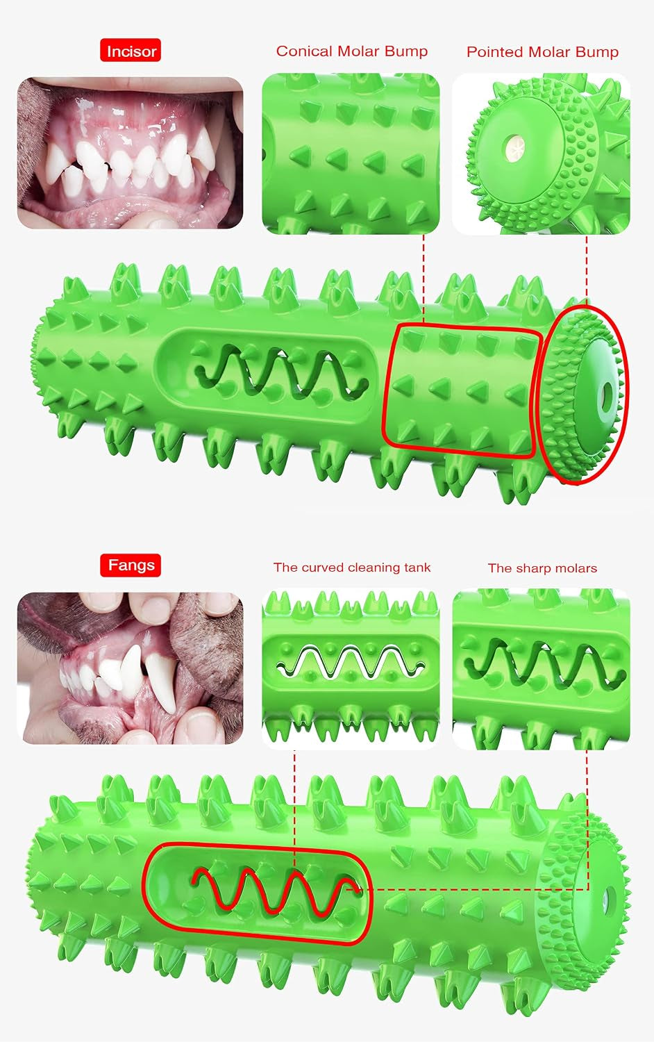 Indestructible Puppy Chew Toy for Teething - Durable Squeaky Interactive Toothbrush Toy for Aggressive Chewers of All Breeds