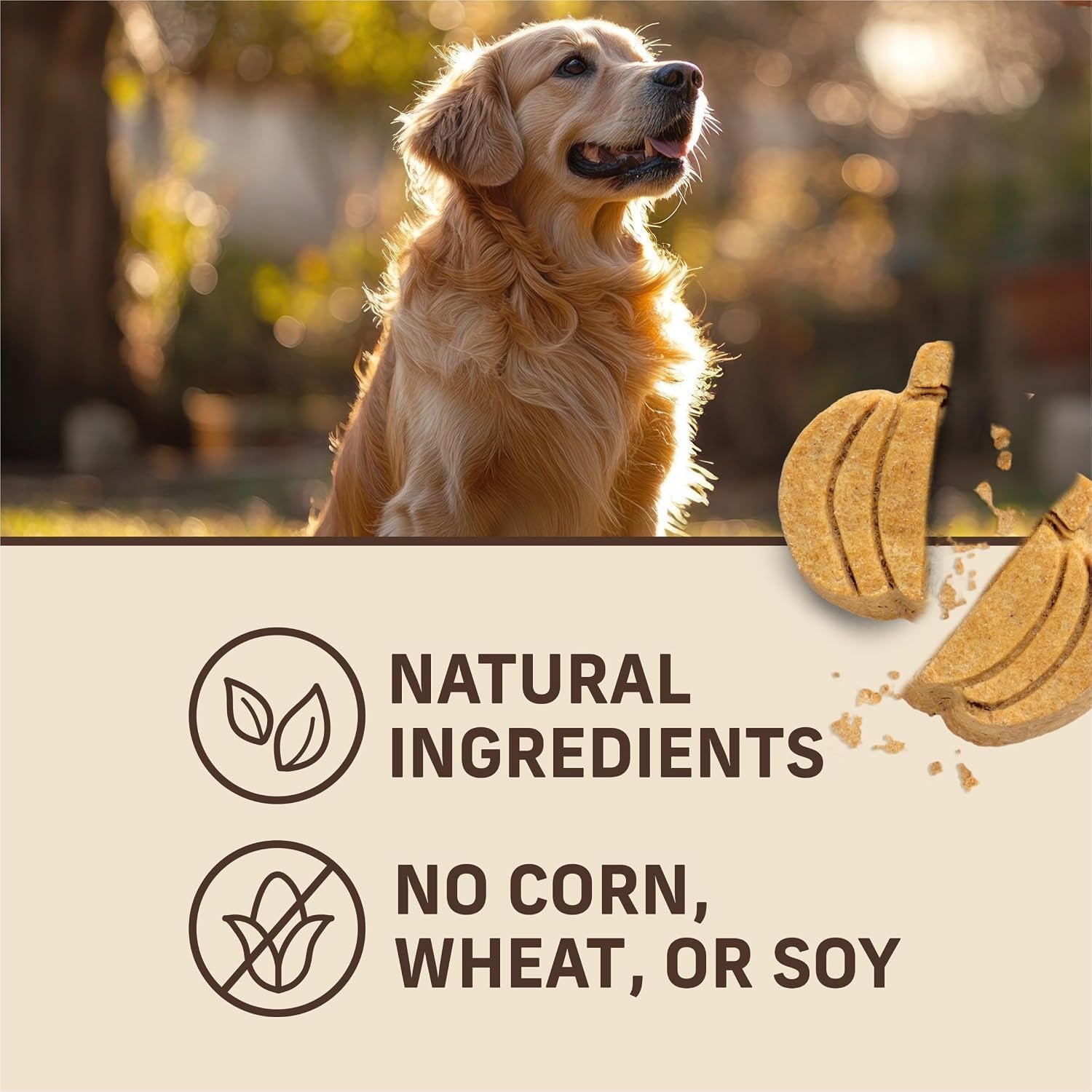 Oven-Baked Natural Dog Treats - Crunchy Pumpkin Patch Biscuits Made with Real Pumpkin, Crafted in Small Batches with Only Seven Ingredients