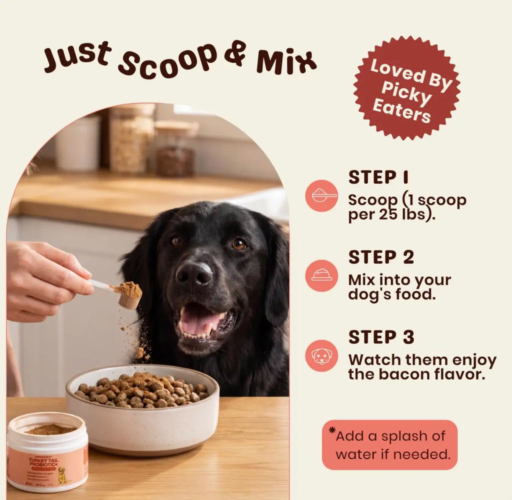 Lumiqour - Turkey Tail Probiotic + Mushroom Blend for Dogs Prone to Lumps | Immunity & Gut Health for Dogs All Natural Ingredients No Chemicals