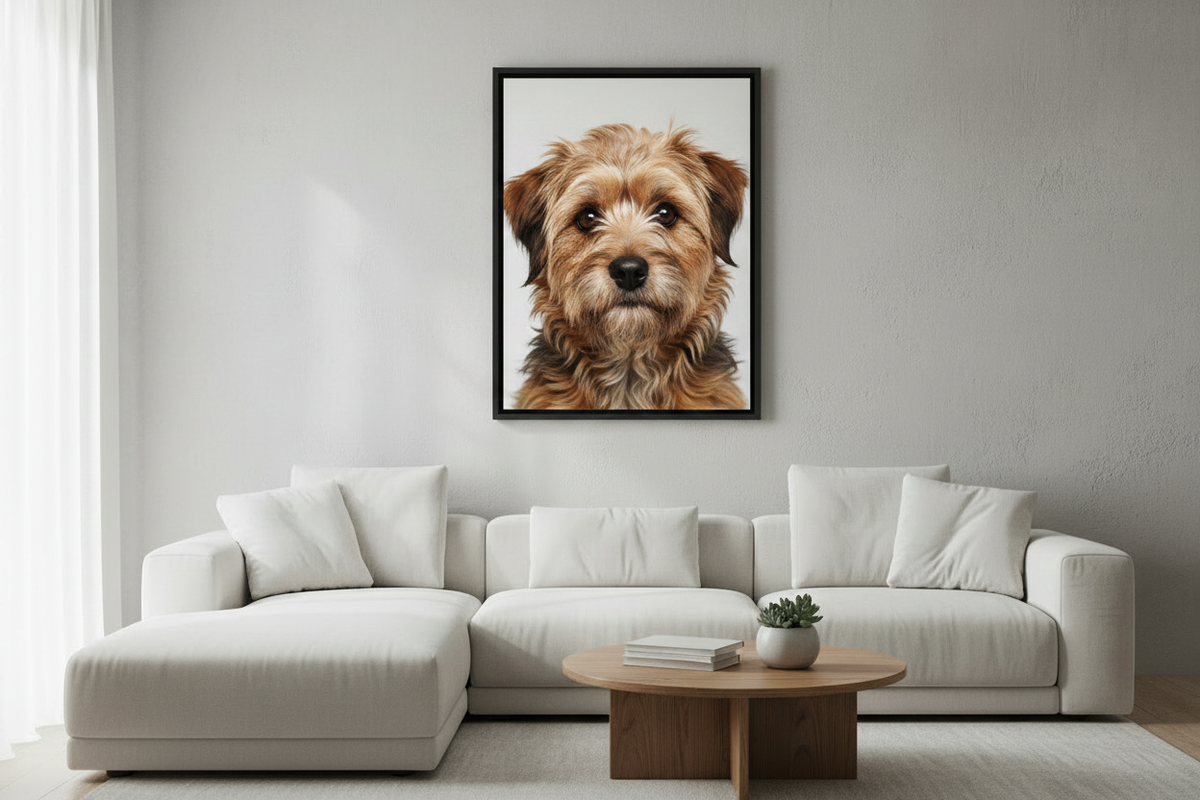 Benji lifestyle wall