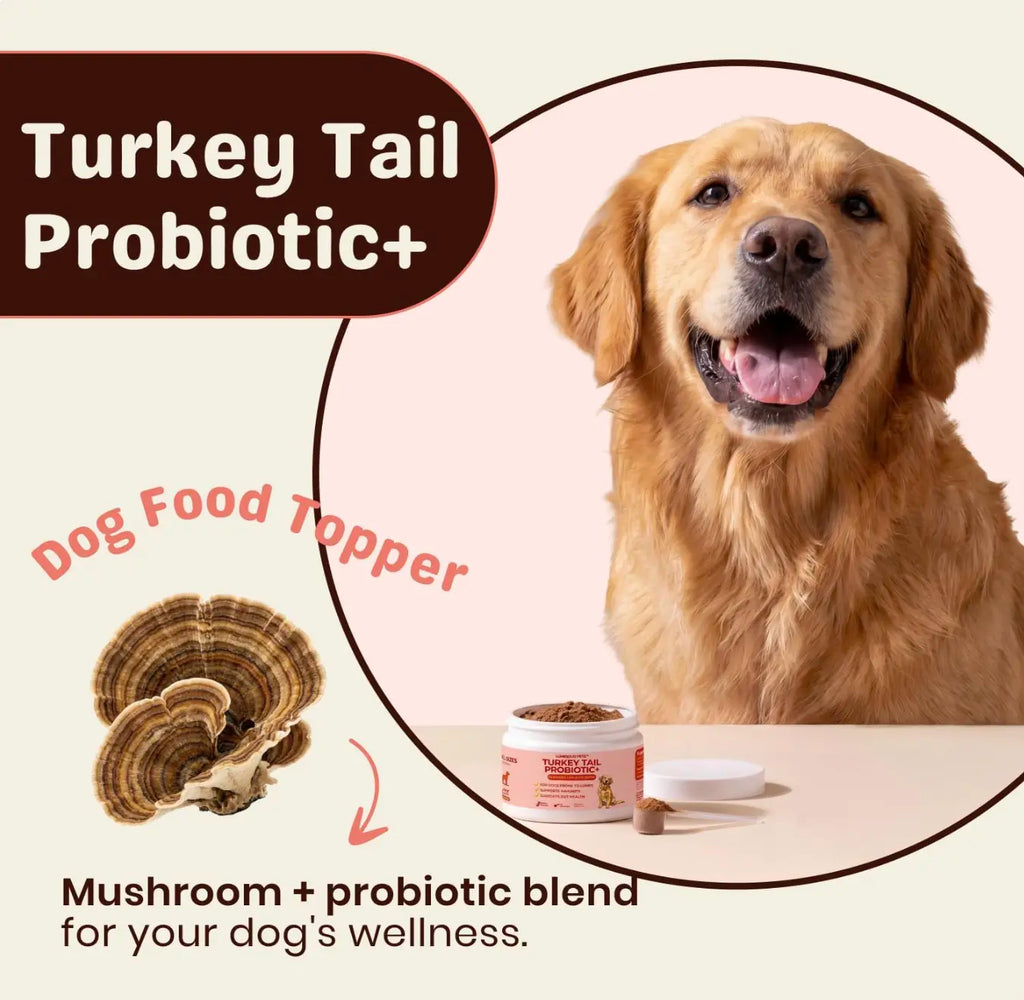 Lumiqour - Turkey Tail Probiotic + Mushroom Blend for Dogs Prone to Lumps | Immunity & Gut Health for Dogs All Natural Ingredients No Chemicals