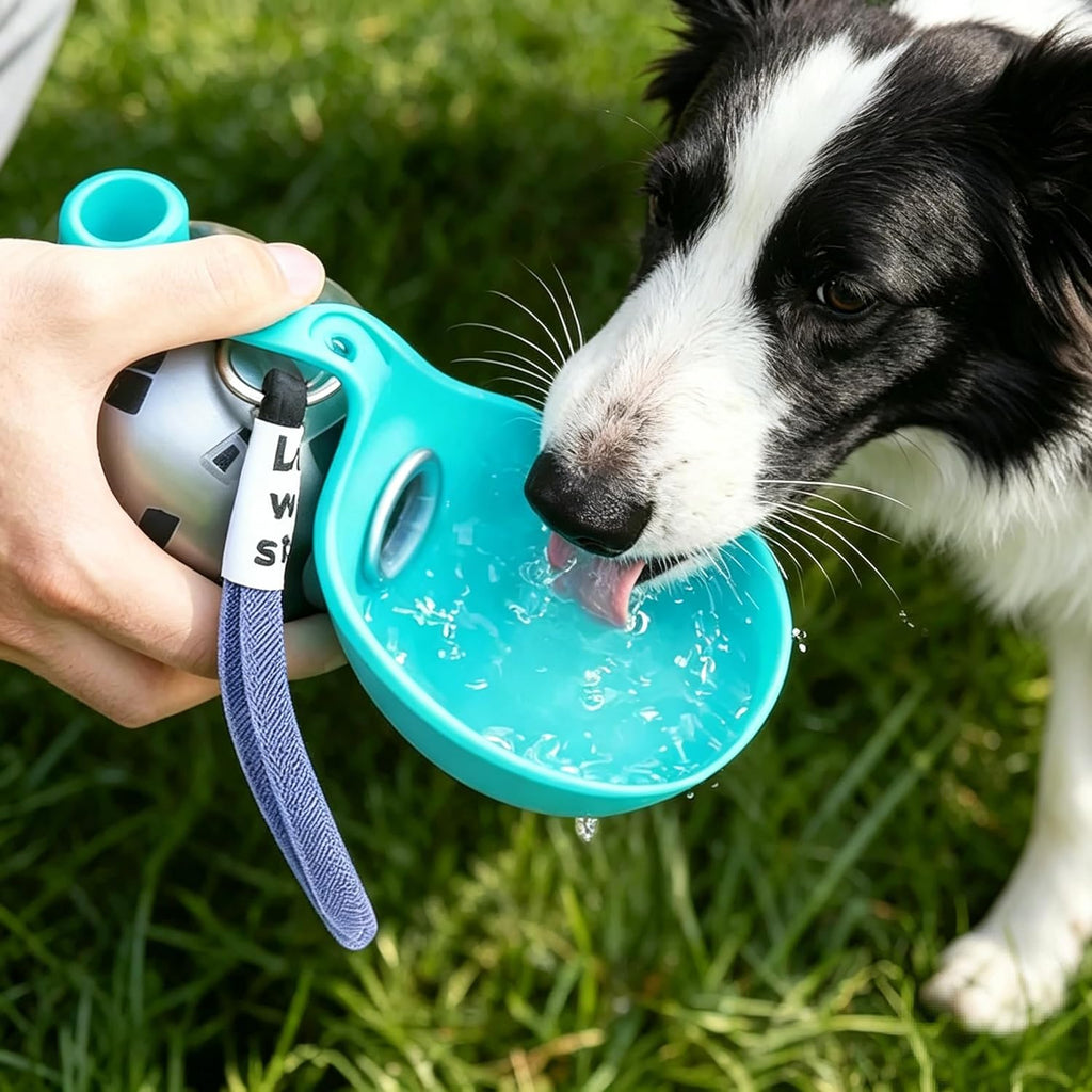 2-In-1 Portable Dog Water Bottle with Bowl, 10Oz Stainless Steel Travel Pet Water Dispenser, No-Spill Leak-Proof Design with Silicone Bowl, Perfect for Walking, Hiking, and Travel (Blue A)